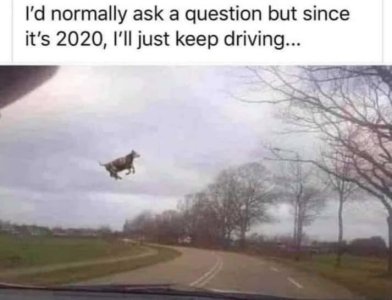 5CCDA0E2-48D6-4CF3-A64F-5005A5F62617.jpeg