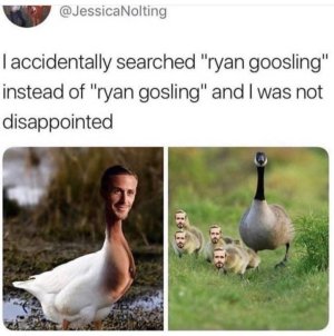 3489413C-D8CD-4366-8D3D-F46B9901421E.jpeg