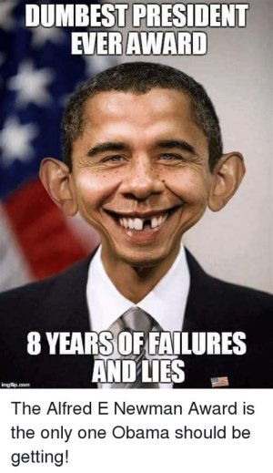 36806BB2-1675-4427-BE64-EEEFDF94985B.jpeg