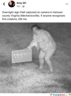 49AB4B5F-F951-4AA5-B38D-B7561A4F565D.jpeg