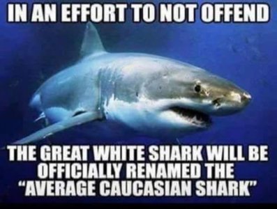 15FEE4F9-BABF-4F85-8BAB-68FB099B111A.jpeg