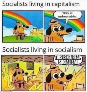FB06AD1C-ADED-40FA-817A-BEFC3CC6239A.jpeg