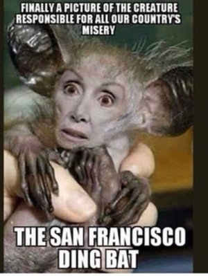 D434AB23-F441-422C-8AF3-5C3C77A00F4A.jpeg