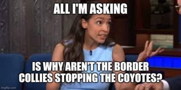 765E7F07-514B-49D6-AFD7-E8E043F33685.jpeg