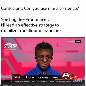 F8BF0155-D948-4271-A6A8-450240D6F075.jpeg
