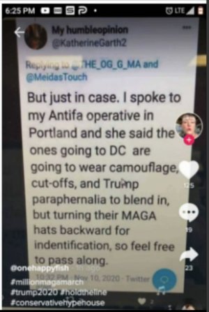 maga antifa.jpg