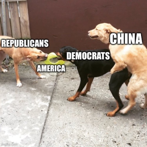6E7D8164-5562-4F1F-A70C-121E77F1E91C.png
