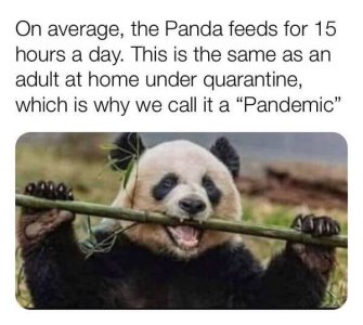 7D8C667C-32F0-42B0-AF77-D698DC4E47F1.jpeg