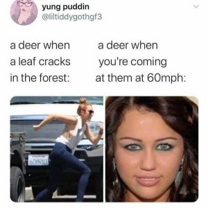 8EE8FC79-55C6-4A5B-9103-B0391D98E9A0.jpeg