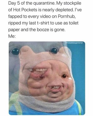 43513F7E-D8AF-4D88-89A5-8CE0398C8871.jpeg