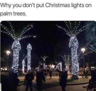 lights.jpg