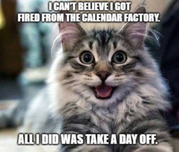 620E1D5F-6F47-4FA5-86CA-C39CB835C4C1.jpeg