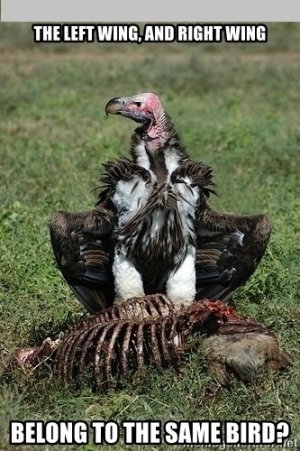 what-if-you-were-made-aware-that-the-left-wing-and-right-wing-belong-to-the-same-bird.jpg