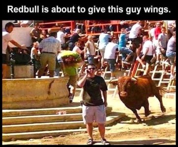 redbull gives him .jpg