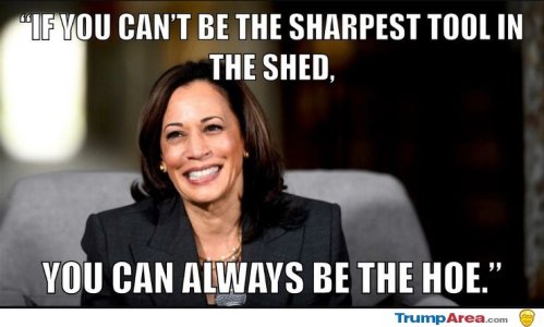 3915189E-7592-48BF-9027-29EB3D6B9F8C.jpeg