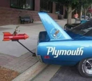 roadrunner .JPG