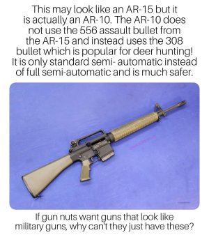 AR10.jpeg