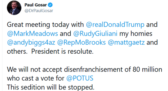 Screenshot_2020-12-22 Paul Gosar on Twitter.png