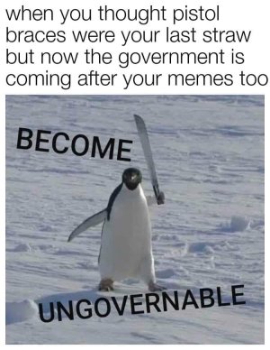 132743421_3509615822489057_530453305050419376_o.jpg