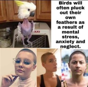 9C6734FC-CA70-4B72-A0FB-281356F8CC2C.jpeg