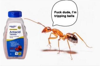 2E9C1C67-DA7C-41B0-BEAC-DEBFC3F07723.jpeg