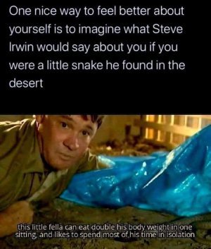 133669788_1358678331150517_2613360045072742206_n.jpg