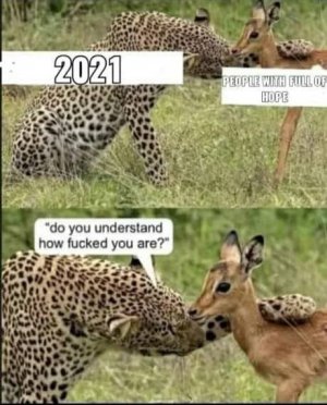 2021.jpg