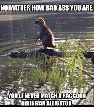 __acc5773f871028385ac4904657d4c7c7_width-600.jpg