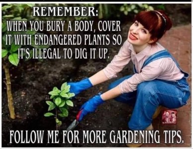 C25D7875-AD82-4A7F-9C3B-B3E12E00225B.jpeg