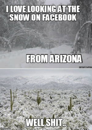 i-love-lookingatthe-snow-on-facebook-from-arizona-well-shit-46416410.png