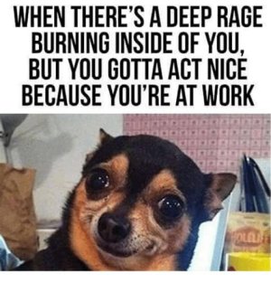 100B274D-79F5-4EAB-803A-6AC4E9ACE2AB.jpeg