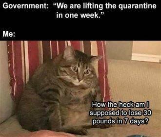 2ADF6EAD-736B-4F2A-ACBA-81E350640B95.jpeg