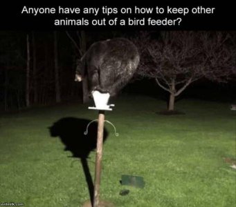 804E2D85-1D0C-41F9-89CB-78138DE0F33B.jpeg