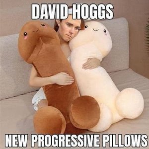 hogg pillows.jpg