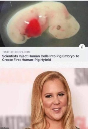 249D8CEE-FD7A-4F49-B052-4F04F77B14BA.jpeg