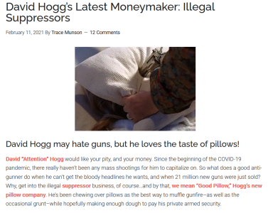 Screenshot_2021-02-11 David Hogg's Latest Moneymaker Illegal SuppressorsDavid Hogg's Latest Mo...png