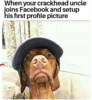 F4280E97-525A-4117-9C03-C11373467FCA.jpeg