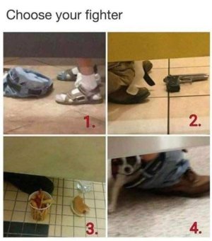 6D0BED32-7BD5-4FB8-9E05-DF7F388EB803.jpeg