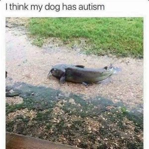 F2CB6F66-B2B0-46D4-8821-A7ABE57F1D3D.jpeg