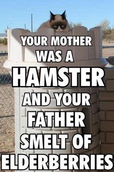 8DA3E366-C06F-4209-9A50-BC5ED4E6C6E7.jpeg