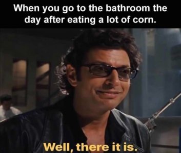 66E1ED17-0AFB-4D5F-A87E-2D41D216D3F3.jpeg