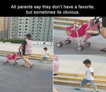 F08D9B9A-54F1-474D-AFBC-8BF491962A78.jpeg