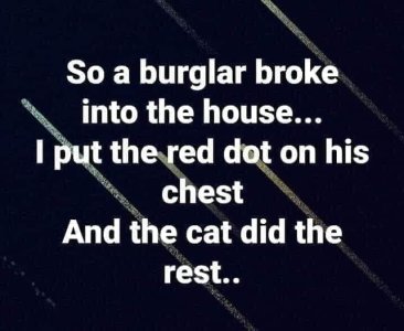 Red Dot & Cat.jpg