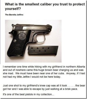 how to save yourself from a bear attack.jpg