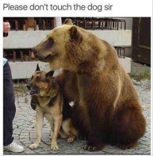 81D530C2-039F-49FE-93C7-285E35F04A41.jpeg