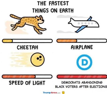 22BD7B9B-7004-4F91-985A-4FAFB2DCC4CF.jpeg