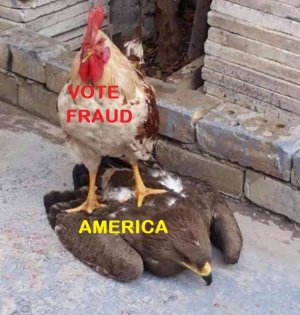 voter fraud vs America.jpg