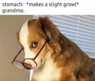 D4B11C15-1818-4E8E-8552-5F0751553CA2.jpeg