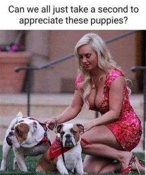 0A738CEC-D418-4344-B46A-6C2E3E643B69.jpeg