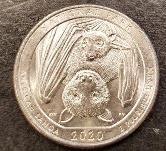 bat coin.jpg